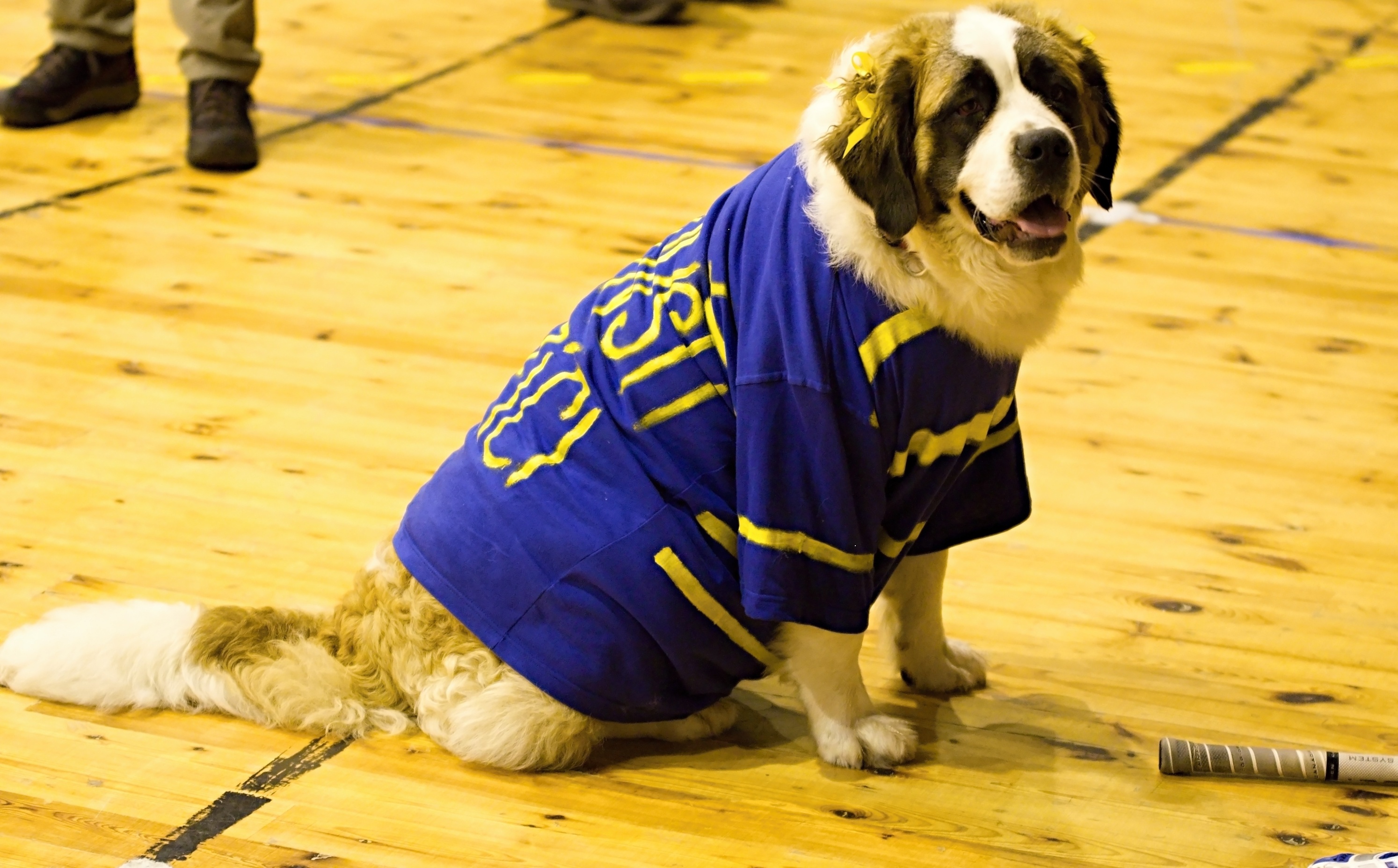 Podnikovka finále 1.6.2012 (25)